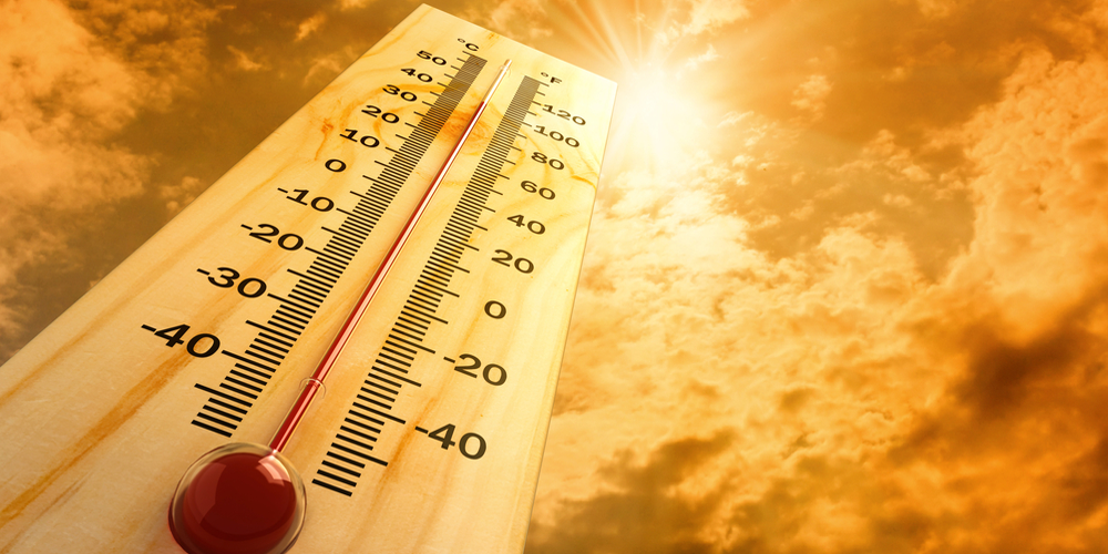 Summer Safety Tips
