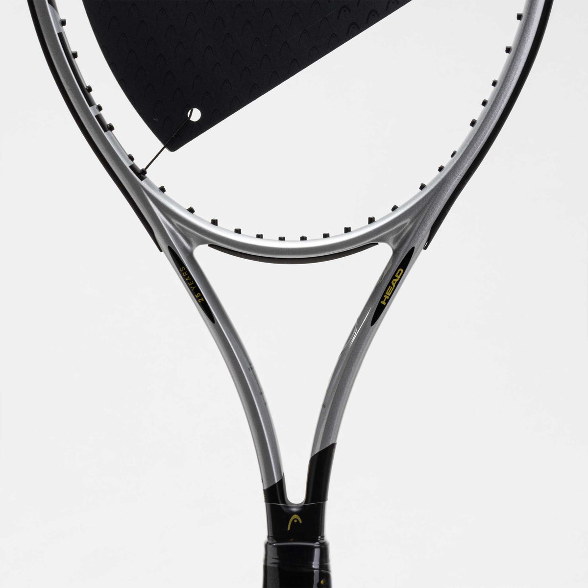 HEAD Prestige MP Limited 2026