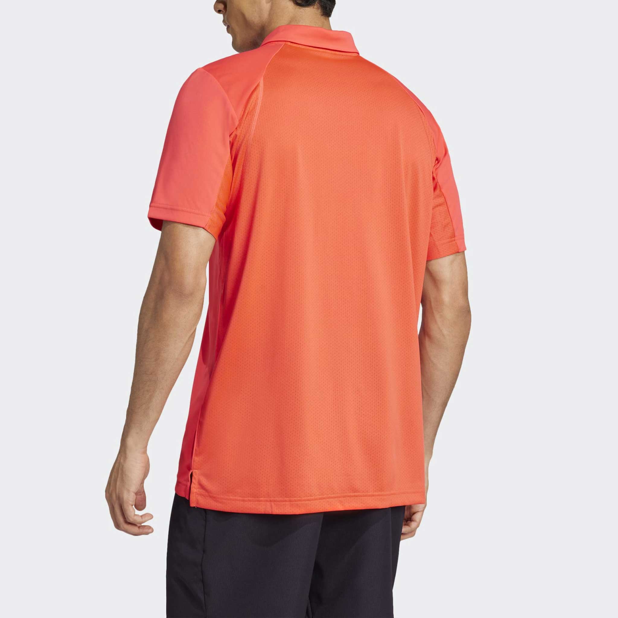 adidas Club Polo 2025 Men's