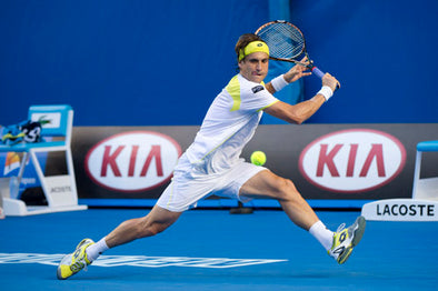 David Ferrer, Number 4 in the World, Number 1 in Style