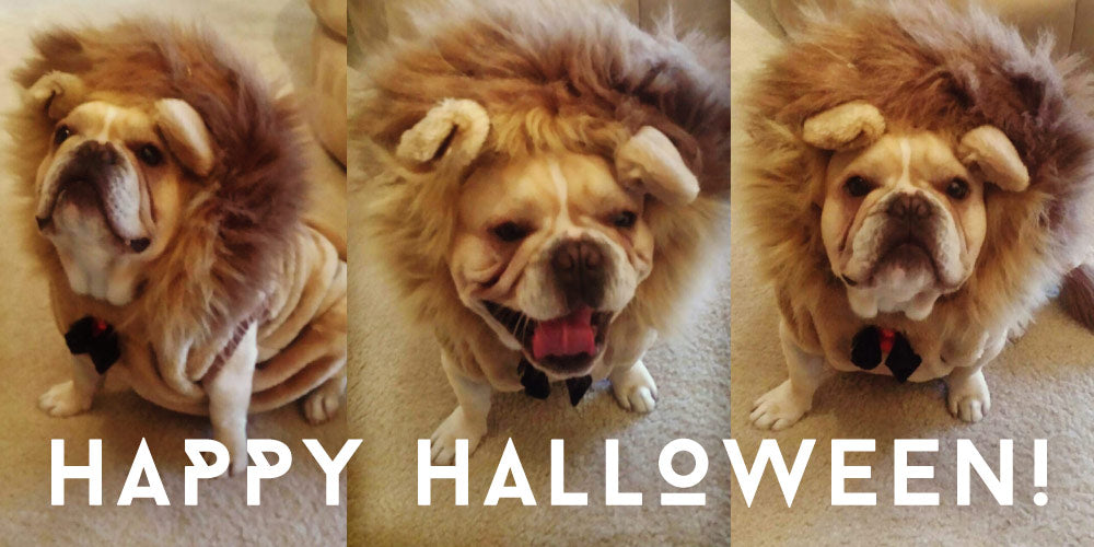 Happy Halloween