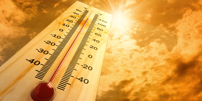 Summer Safety Tips