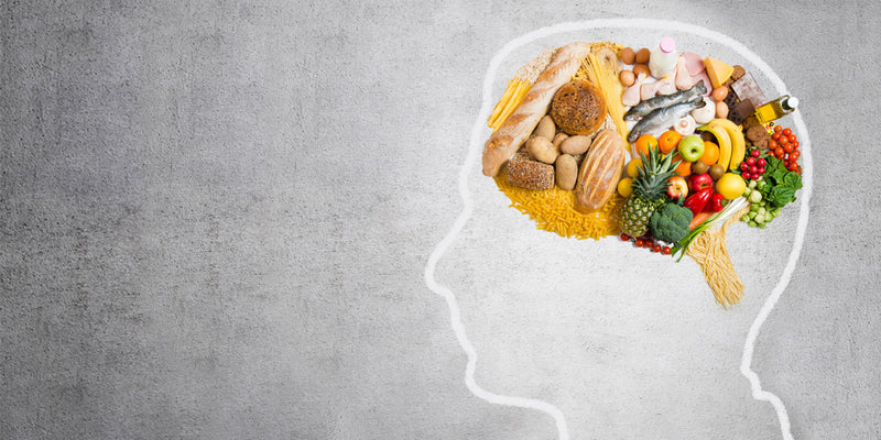 Maximizing Your Mind through Diet