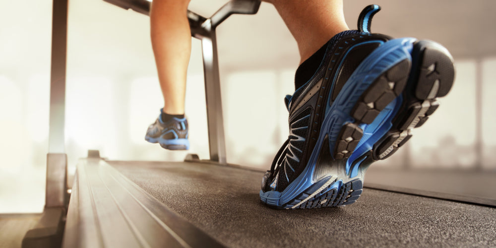 ProForm Boston Marathon Treadmills