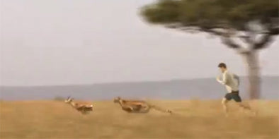 Skechers GOrun and Save an Antelope