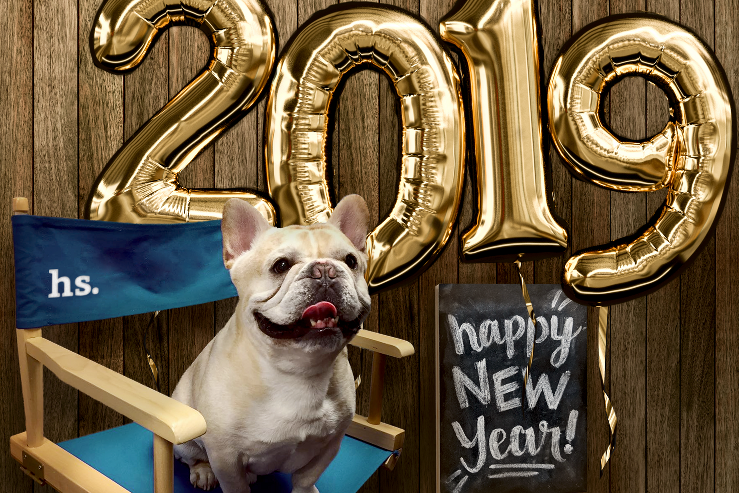 Holabird's Holiday Happiness Guide: New Year's Eve Survival Plan