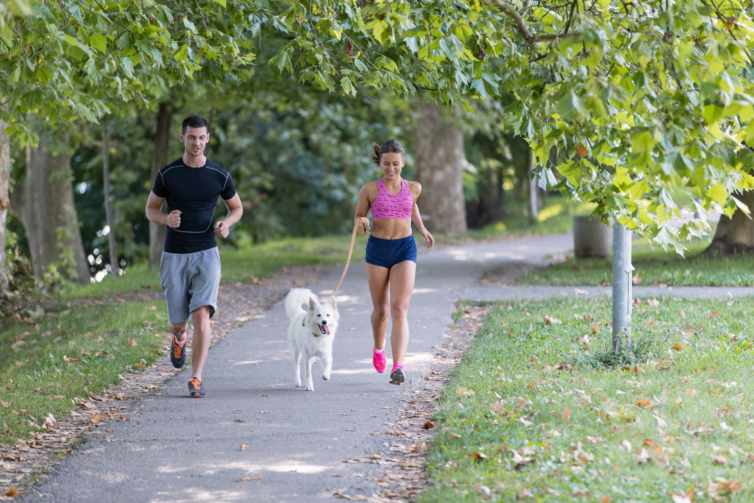 Should You Go Running with Your Dog?