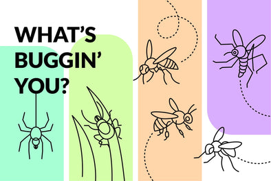 Tell Insects to Buzz Off with These Tips for Your Trail Adventures