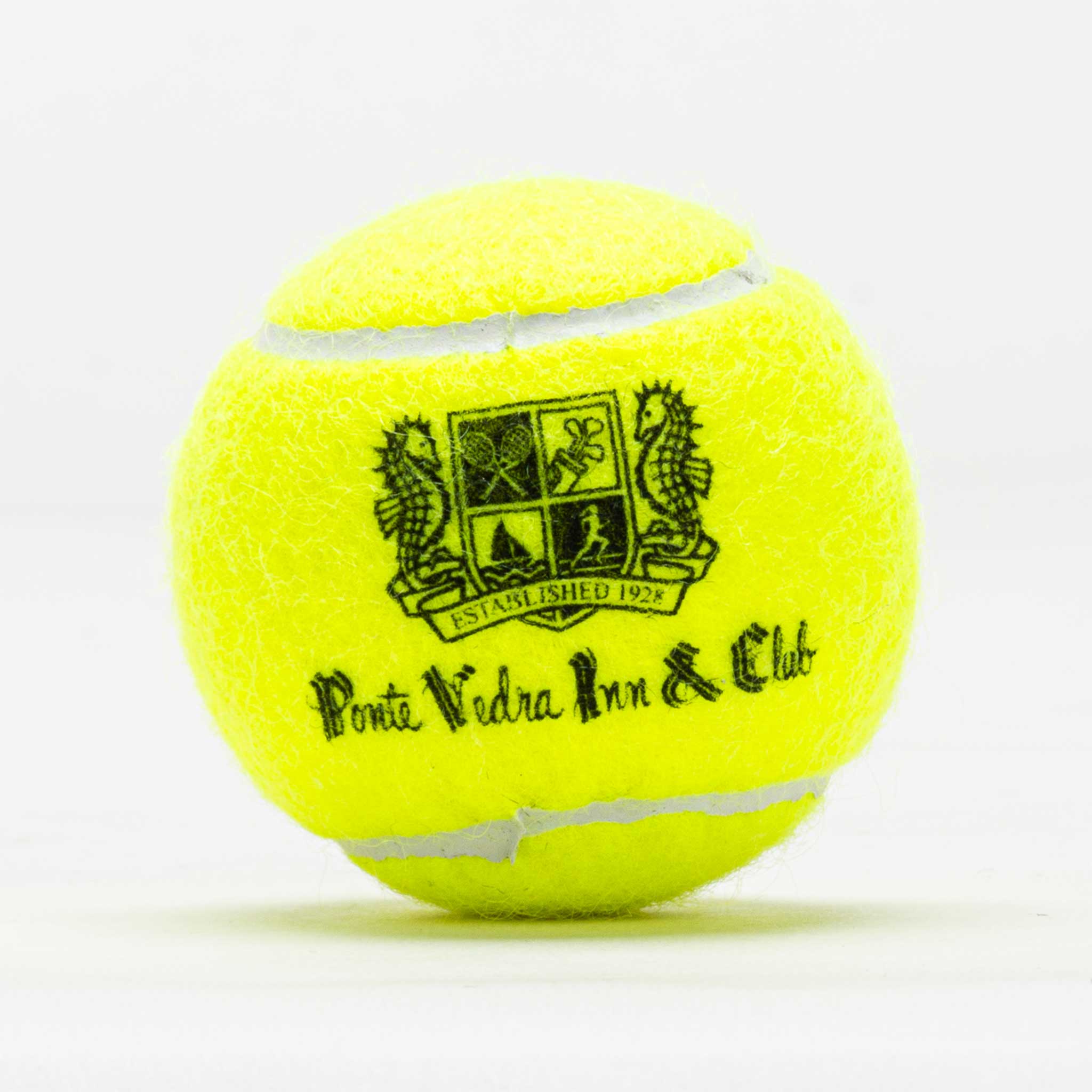 Dunlop ATP Championship Regular Duty Ponte Vedra Logo BALL 24 Cans