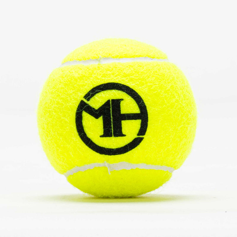 Dunlop ATP Championship Mission Hill Logo Balls Extra Duty 24 Cans