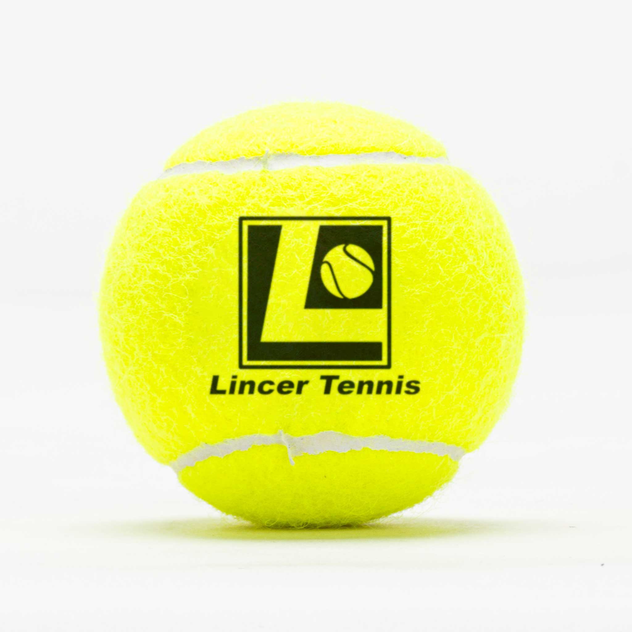 Dunlop ATP Tour Lincer Tennis Logo Balls Regular Duty 24 Cans