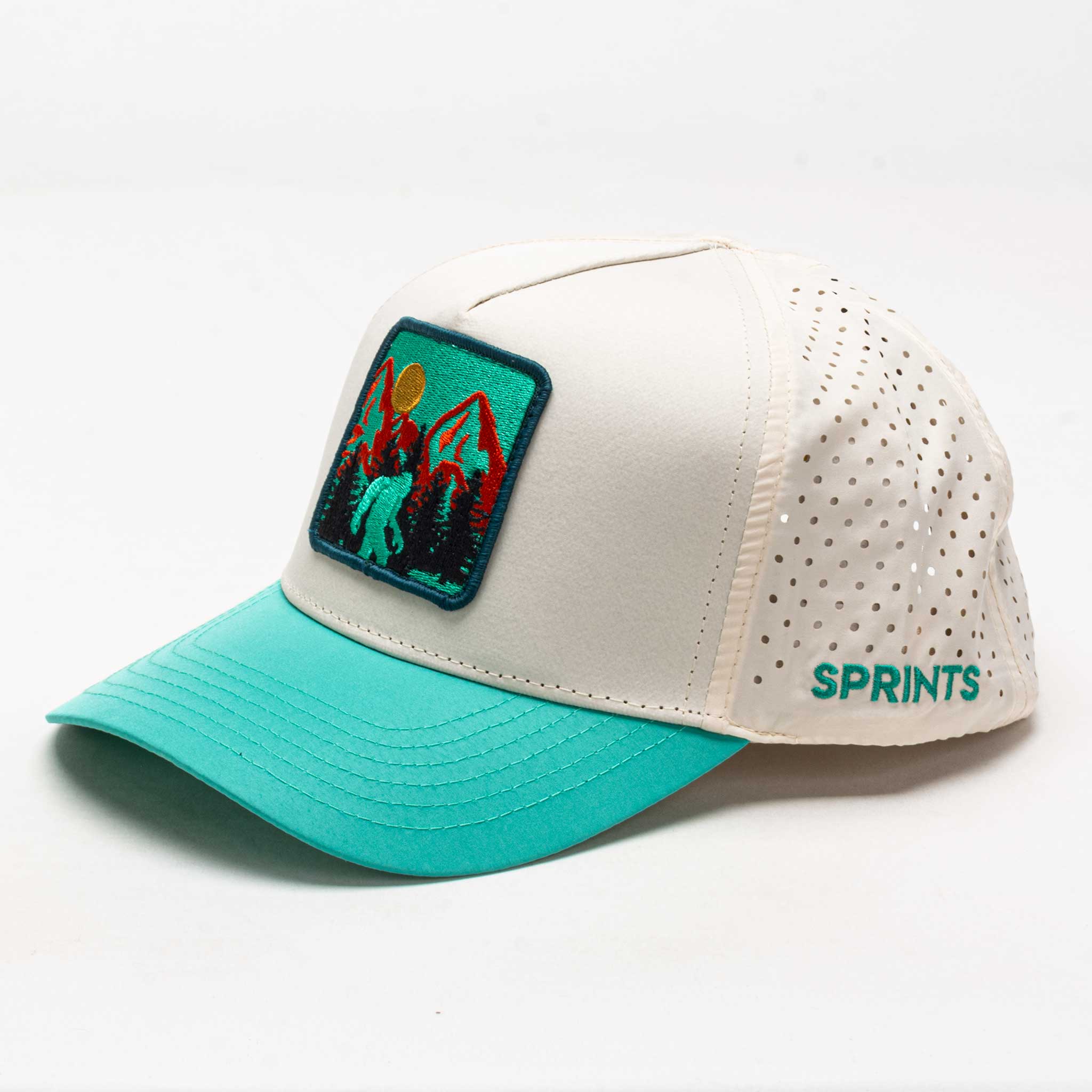 Sprints Structured VP Hat