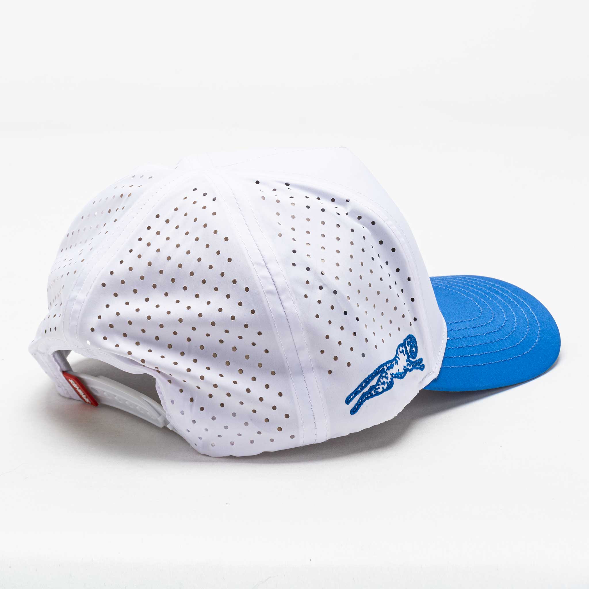Sprints Structured VP Hat