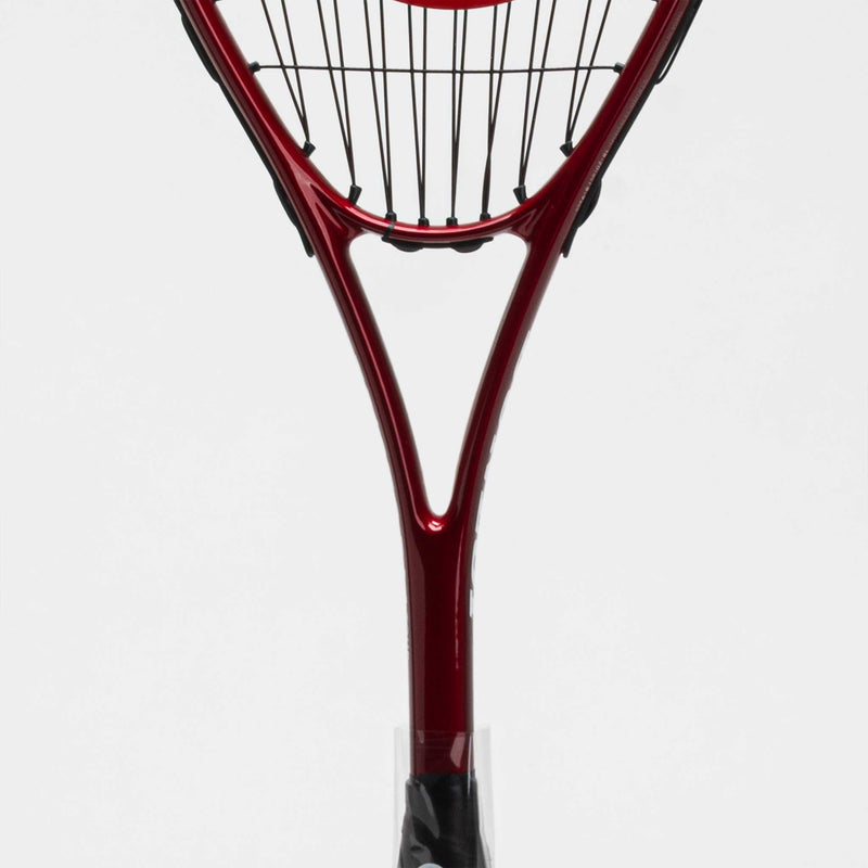 Dunlop Tristorm Tour