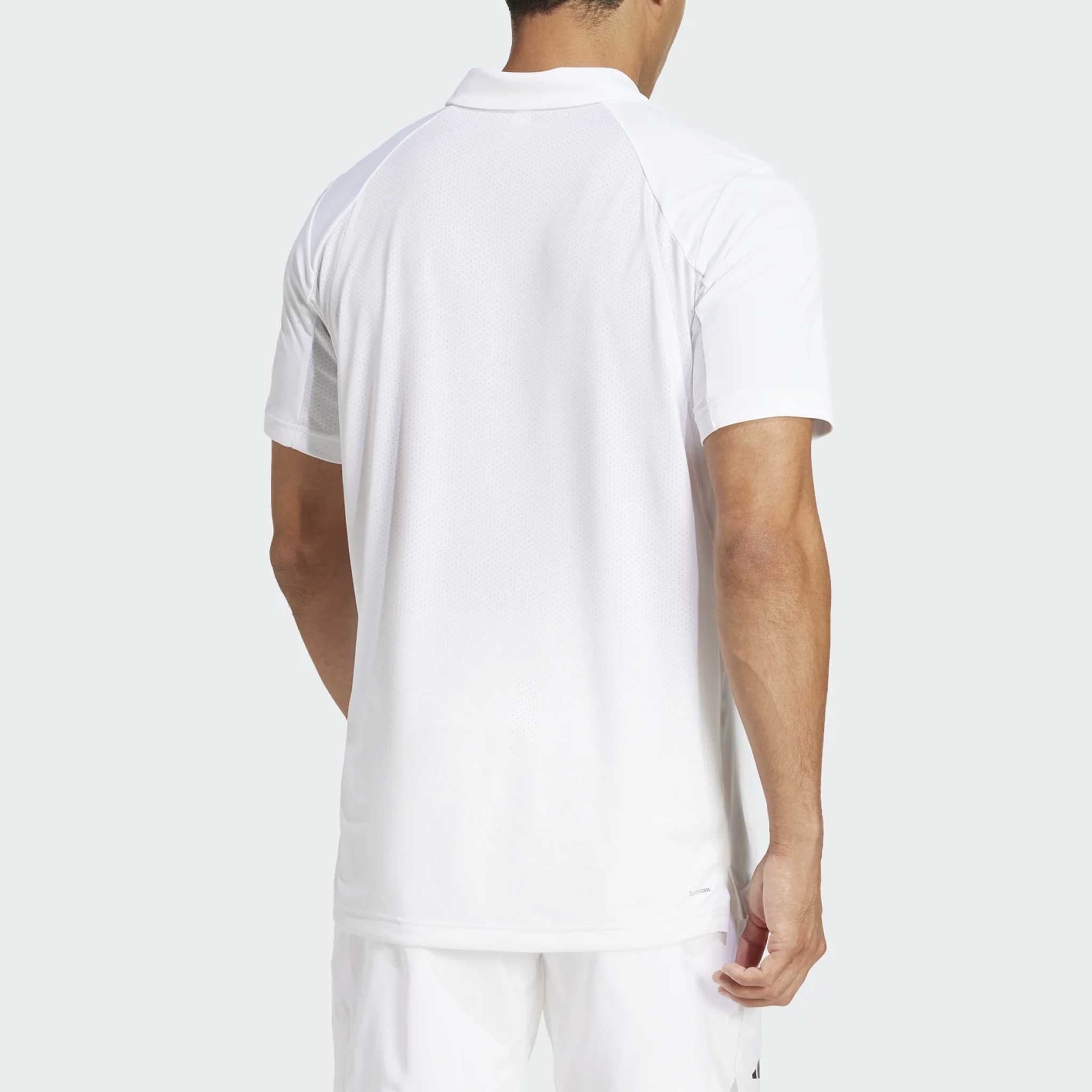 adidas Club Polo 2025 Men's – Holabird Sports
