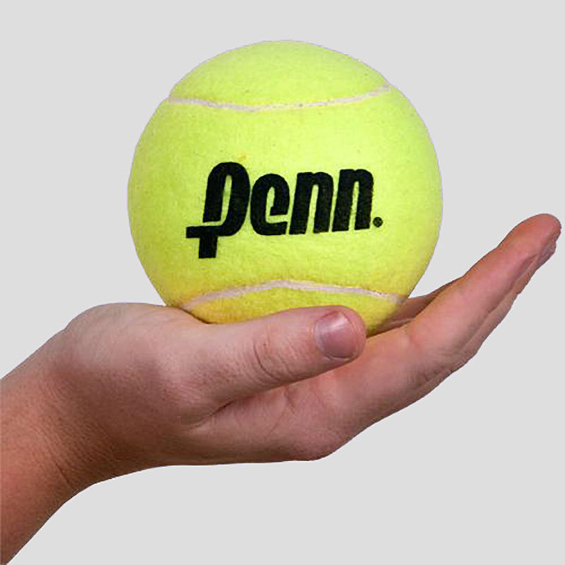 Penn 4 Large Tennis Ball Holabird Sports