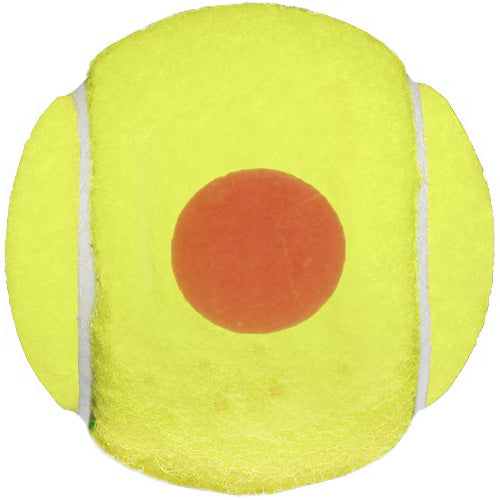 Wilson Starter Orange Tennis Ball Bag of 48 Balls