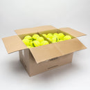 Wilson Triniti Club USPTA 72 Balls